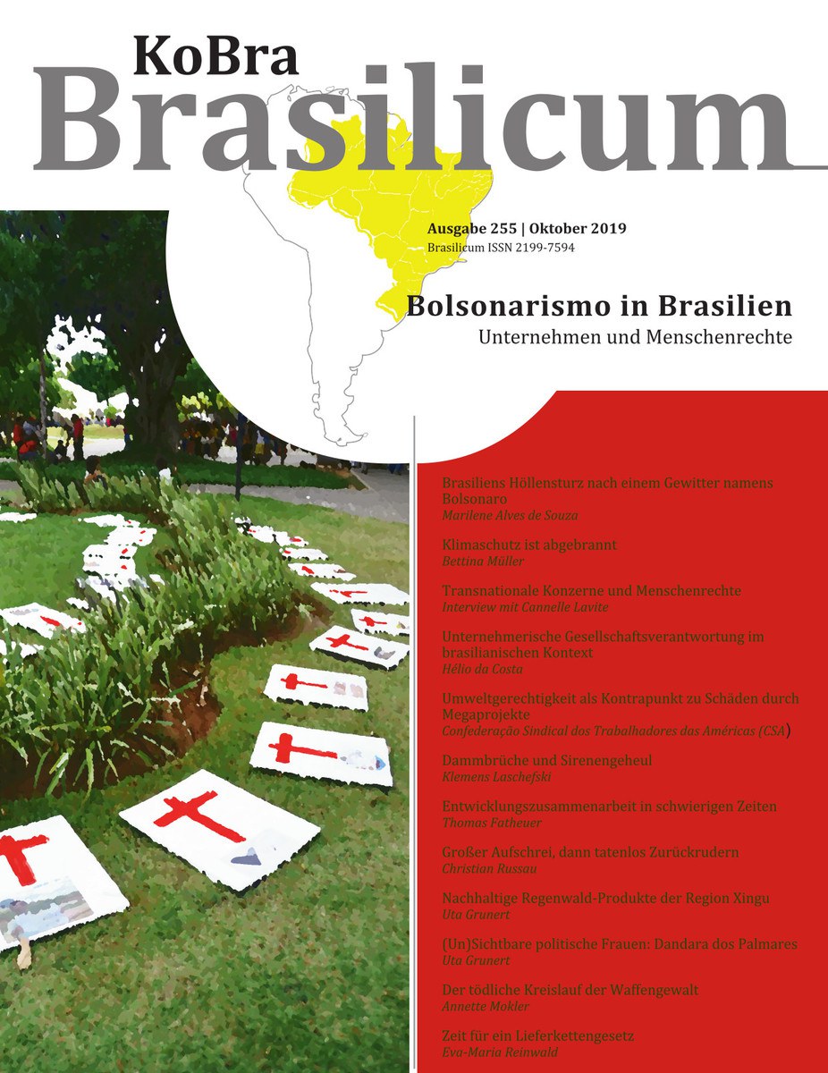 255 | Bolsonarismo in Brasilien