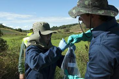 Brasilien meldet Höchstwert bei Pestizidvergiftungen seit 2015