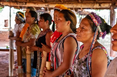 Kampf indigener Frauen in Brasilien