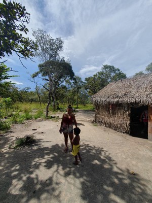 Im Rahmen der jährlichen Berichterstattung des UPR Verfahrens in Genf wurden u.a Berichte und Dokumentationen über die Menschenrechtslage in Maranhão vorgelegt. Das Agrobusiness und der Ausbau von Transportinfrastruktur agieren jenseits jeder Regel. Die Berichte sprechen von Mord, Vertreibung und Bedrohung, von illegaler Entwaldung und dem Eindringen in geschützte Territorien. Ohne schützendes Eingreifen des Staates.