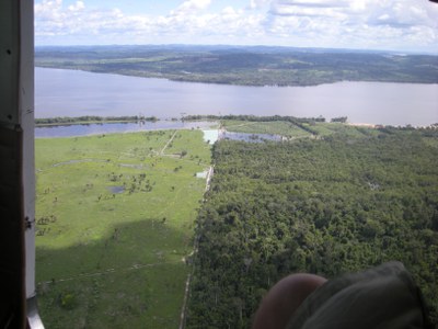 Amazonas-Entwaldung auf Zehn-Jahres-Hoch für den Monat Oktober