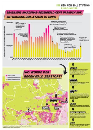 Die dominierenden Wirtschaftsaktivitäten im brasilianischen Amazonas, vor allem die Viehzucht,  treiben die Abholzung an. Die große Zunahme der Rinderbestände in Amazonien über die letzten drei Jahrzehnte hat zu einer besorgniserregenden Umwandlung des Waldes in Weideland geführt.