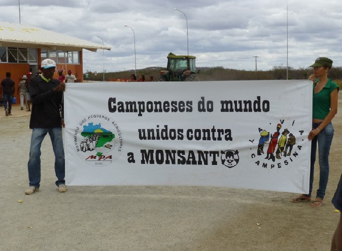 Bewegung der Kleinbauern besetzt Versuchsanlage von Monsanto