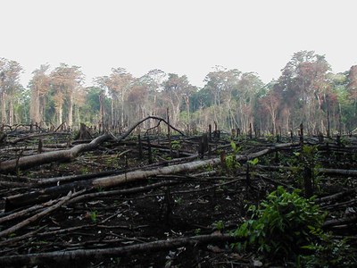 Brasilien zwischen Dürre und Überflutung