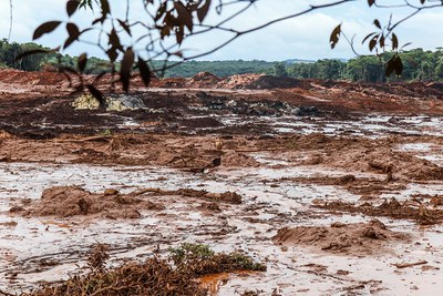 Dammbrüche und Sirenengeheul: Landgrabbing durch Terror nach den Desastern von Mariana und Brumadinho