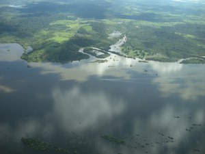 Der illegale Abbau von und Handel mit Gold in Amazonien ist wieder einmal groß in den Medien. Eine groß angelegte Polizeiaktion richtete sich vergangene Woche gegen den illegalen Goldabbau und -handel in Brasilien. Den Ermittlungen zufolge hatte das mafiöse Netzwerk innerhalb von zwei Jahren Gold aus illegalen Quellen im Wert von insgesamt 16 Milliarden Reais (derzeit umgerechnet knapp drei Milliarden Euro) gehandelt. Eine neue Studie zeigt zudem auf, dass rund die Hälfte des in Brasilien zwischen 2015 und 2020 geförderten und exportierten Goldes illegaler Herkunft sei: Dabei handele es sich dem Institut Instituto Escolhas zufolge um eine Menge von insgesamt 229 Tonnen Gold in dem Fünfjahreszeitraum. Indessen versprachen die Schweizer Raffinerien, "nicht mit Gold aus indigenen Gebieten des brasilianischen Amazonasgebiets zu handeln und die notwendigen technischen und menschlichen Maßnahmen zu ergreifen, um kein illegales Gold, auch nicht aus Brasilien, anzunehmen, einzuführen oder zu raffinieren, indem sie dieses Gold zurückverfolgen und identifizieren."