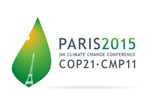 Hinterfragt: Brasiliens Klimaziele für den COP21 Gipfel in Paris