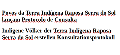 Indigene Völker der Terra Indígena Raposa Serra do Sol erstellen ihr erstes Konsultationsprotokoll
