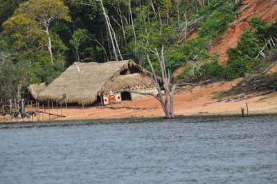 Rettungsplan für Amazonien kann nur integral gelingen