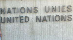 Vier Sonderberichterstatter:innen der Vereinten Nationen sowie sechs weitere UN-Expert:innen verschiedener UN-Working Groups sehen in dem von der brasilianischen Abgeodnetenkammer am 17. Juli verabschiedeten "Generalgesetz zur Umweltlizenzierung" die Gefahr, dass sich die globalen Krisen des Klimawandels, des Verlusts der biologischen Vielfalt, der toxischen Verschmutzung und der zunehmenden Ungleichheiten verschärfen. Außerdem würden sie das Recht auf Zugang zu Informationen, auf Beteiligung der Öffentlichkeit und auf Zugang zur Justiz schwächen, insbesondere für marginalisierte Bevölkerungsgruppen und Gemeinschaften“, so die Expert:innen.