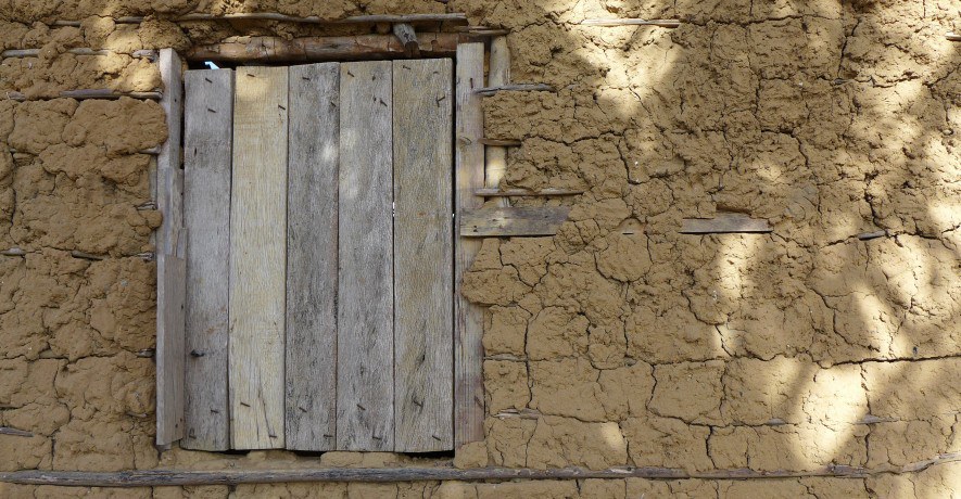 Versuchskaninchen: nach bestem Wissen und Gewissen?