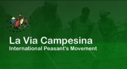 Via Campesina kritisiert FAO-Direktor