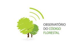 Umweltorganisationen beobachten Veränderungen durch Código Florestal