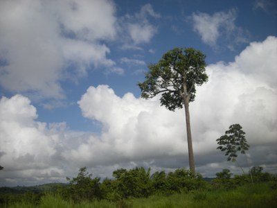 Wider den Pessimismus – Amazonien ist nicht verloren!