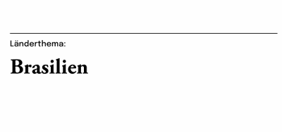 Aide Memoire 2025 zu Brasilien