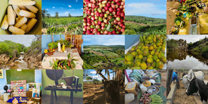 Bundesstaatsanwaltschaft MPF reicht gegen die brasilianische Bundesbergbaubehörde ANM, gegen das Institut für Umwelt und Wasserressourcen von Bahia Inema sowie gegen ein Bergbauunternehmen eine öffentliche Zivilklage ein, um die traditionelle Gemeinschaft von Taquaril dos Fialhos gegen die Folgen einer Ausbeutung durch Bergbau zu schützen.