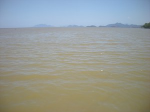 Gewaltsames Verschwindenlassen in Brasilien als Verbrechen gegen die Menschlichkeit