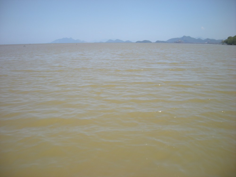 Gewaltsames Verschwindenlassen in Brasilien als Verbrechen gegen die Menschlichkeit