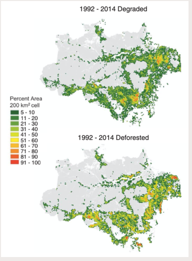 Neue Studie: Degradierte Flächen Amazoniens bisher übersehener Faktor. Kipppunkt wohl schon überschritten