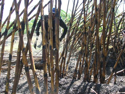 Im Jahr 2015 wurden in Brasilien 936 Menschen aus sklavenarbeitsähnlichen Verhältnissen befreit