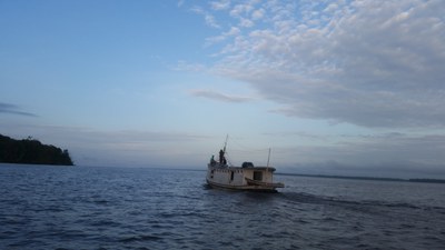 "Weltuntergangsauktion" in Brasilien: Förderlizenzen im Amazonas versteigert