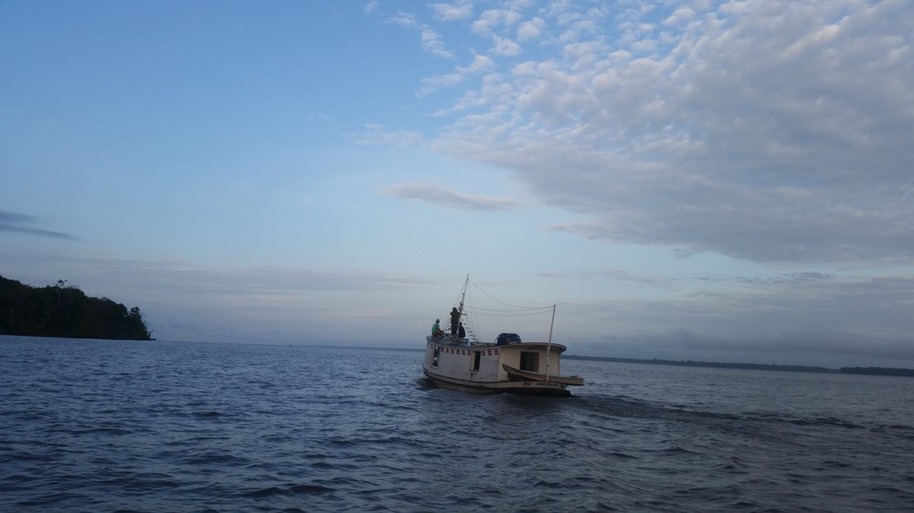 "Weltuntergangsauktion" in Brasilien: Förderlizenzen im Amazonas versteigert