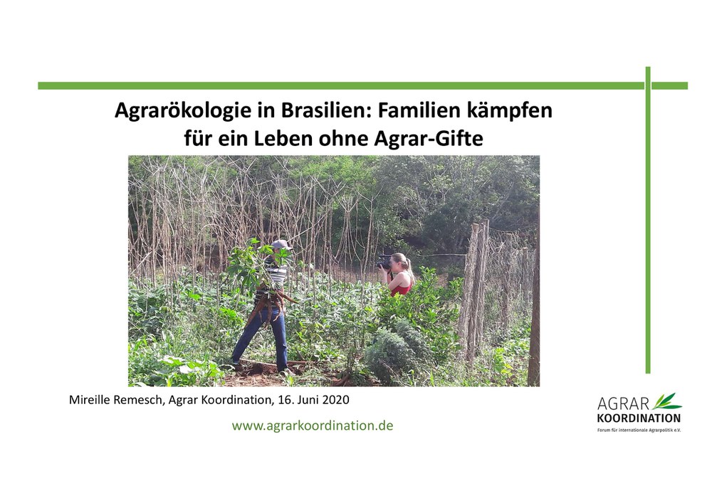 Agrarökologie in Brasilien: Familien kämpfen für ein Leben ohne Agrar-Gifte