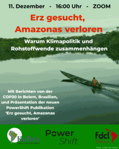 Erz gesucht, Amazonas verloren