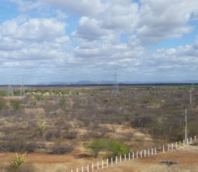 [Podcast] Deserto ou habitat? O nordeste semiárido